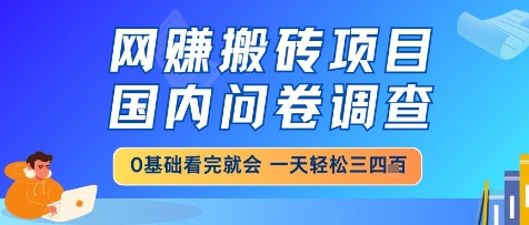 网创搬砖项目，国内问卷调查，小白轻松上手，一天三四张的也不难，干就完了【揭秘】-网创资源