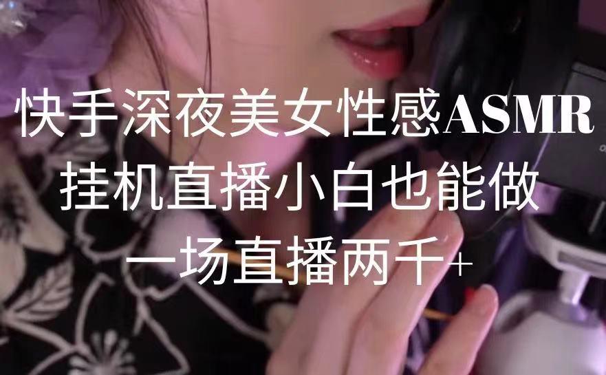 快手深夜美女性感ASMR挂机直播，小白也能做，一场直播两千+-网创资源