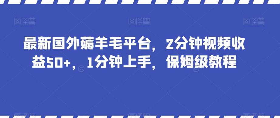 最新国外薅羊毛平台，2分钟视频收益50+，1分钟上手，保姆级教程【揭秘】-网创资源