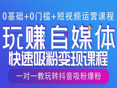 0基础+0门槛+短视频运营课程，玩赚自媒体快速吸粉变现课程，一对一教玩转抖音吸粉爆粉-网创资源