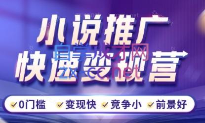 洲洲老师·小说推广快速变现营-网创资源