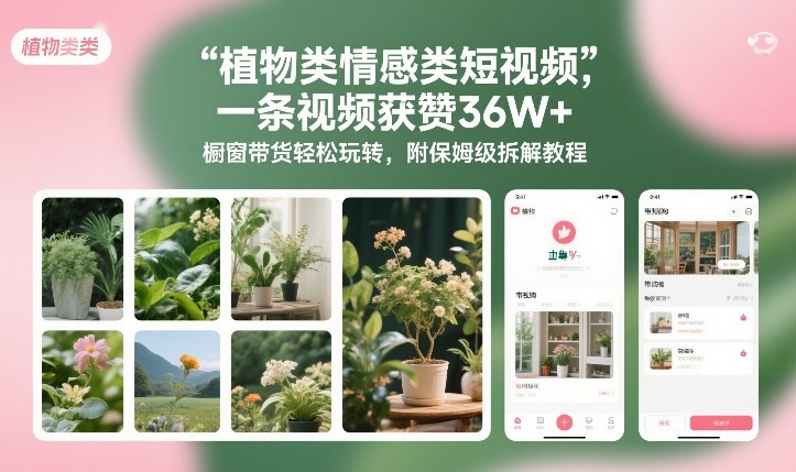 植物类情感类短视频，一条视频获赞36W+，橱窗带货轻松玩转，附保姆级拆解教程-网创资源