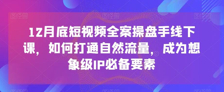 12月底短视频全案操盘手线下课，如何打通自然流量，成为想象级IP必备要素-网创资源