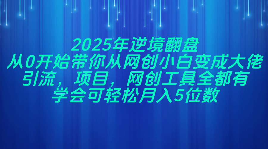 2025年逆境翻盘，从0开始带你从网创小白变成大佬，引流，项目，网创工…-网创资源