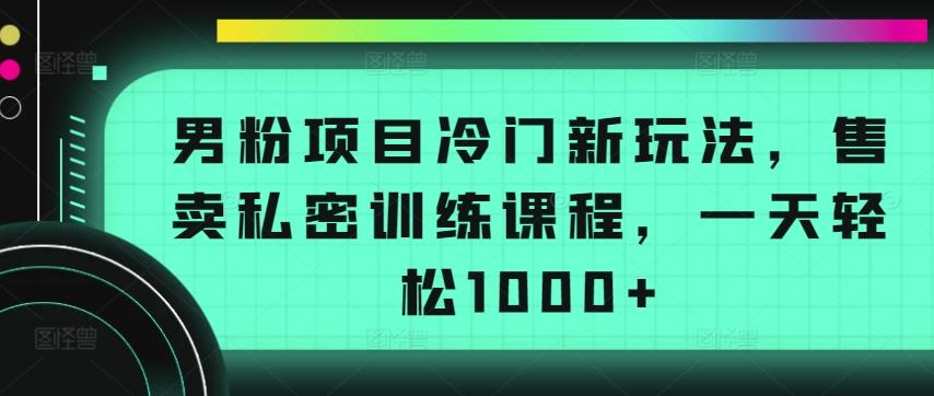男粉项目冷门新玩法，售卖私密训练课程，一天轻松1000+【揭秘】-网创资源