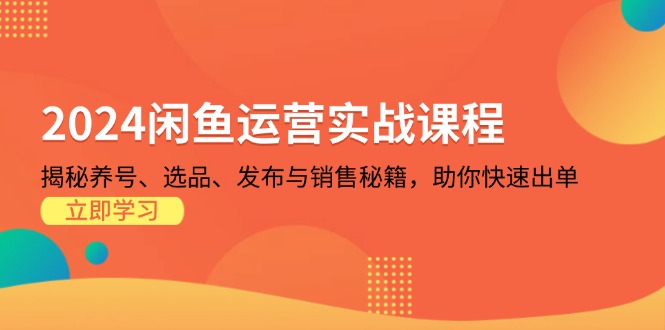 2024闲鱼运营实战课程：揭秘养号、选品、发布与销售秘籍，助你快速出单-网创资源