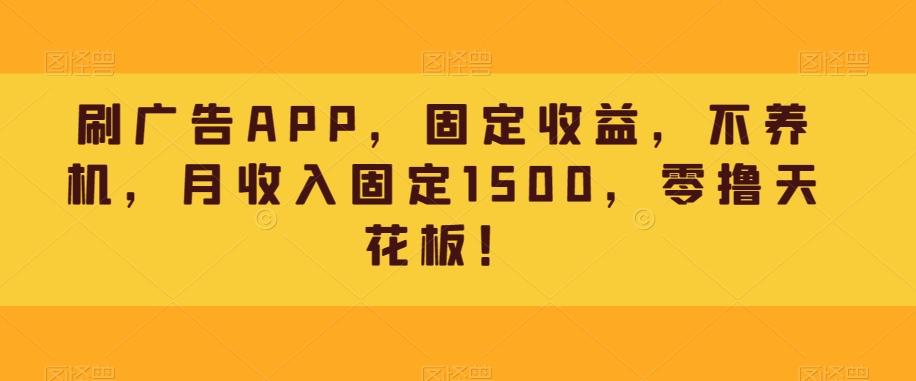 刷广告APP，固定收益，不养机，月收入固定1500，零撸天花板！-网创资源