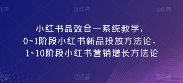 小红书品效合一系统教学，​0~1阶段小红书新品投放方法论，​1~10阶段小红书营销增长方法论-网创资源