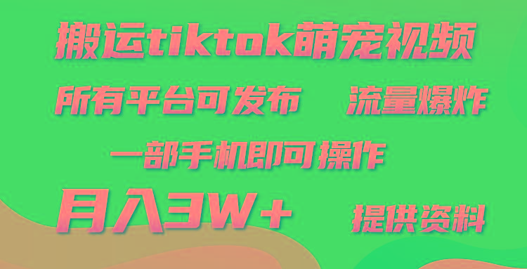 (9618期)搬运Tiktok萌宠类视频，一部手机即可。所有短视频平台均可操作，月入3W+-网创资源