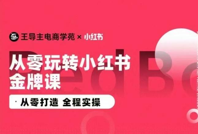 王导主·小红书电商运营实操课，​从零打造  全程实操-网创资源