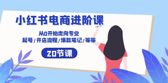 小红书电商进阶课：从0开始走向专业 起号/开店流程/爆款笔记/等等(20节-网创资源