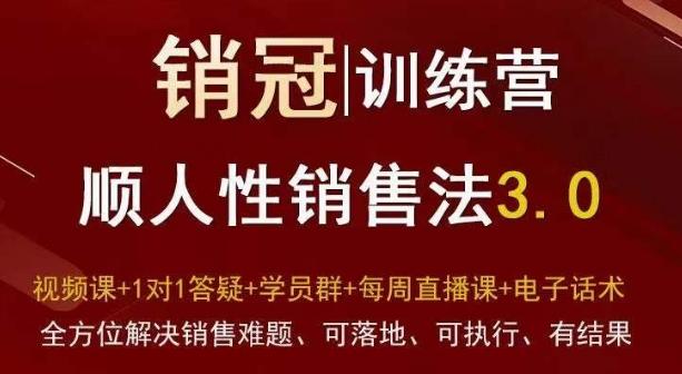 爆款！销冠训练营3.0之顺人性销售法，全方位解决销售难题、可落地、可执行、有结果-网创资源