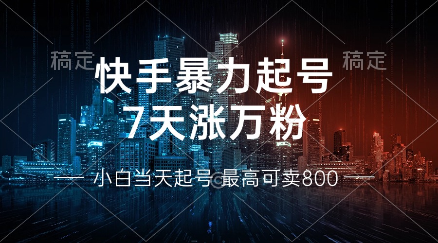 快手暴力起号，7天涨万粉，小白当天起号 多种变现方式，账号回收，单月…-网创资源