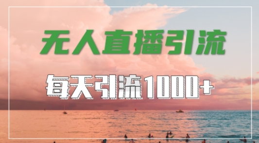抖音快手视频号全平台通用，无人直播引流法，超暴力引流1000+高质量精准创业粉【揭秘】-网创资源