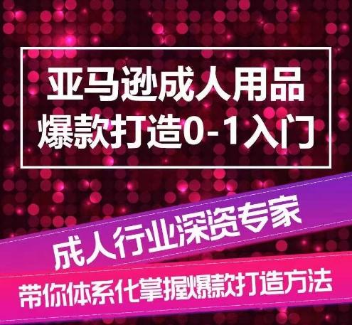 亚马逊成人用品爆款打造0-1入门，系统化讲解亚马逊成人用品爆款打造的流程-网创资源