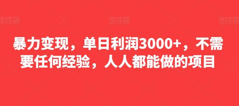 暴力变现，单日利润3000+，不需要任何经验，人人都能做的项目-网创资源