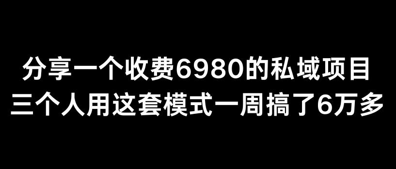 分享一个外面卖6980的私域项目三个人用这套模式一周搞了6万多【揭秘】-网创资源