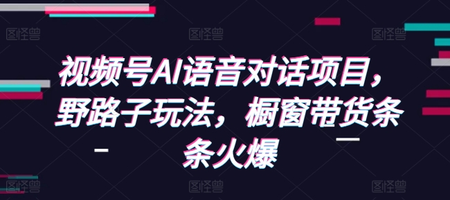 视频号AI语音对话项目，野路子玩法，橱窗带货条条火爆-网创资源