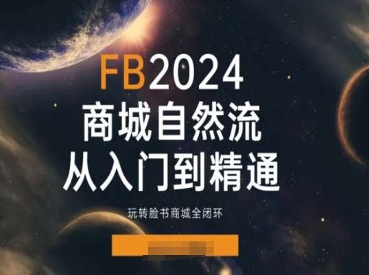 2024Faceboo商城自然流(从入门到精通)，玩转脸书商城全闭环-网创资源