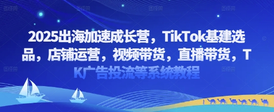 2025出海加速成长营，TikTok基建选品，店铺运营，视频带货，直播带货，TK广告投流等系统教程-网创资源