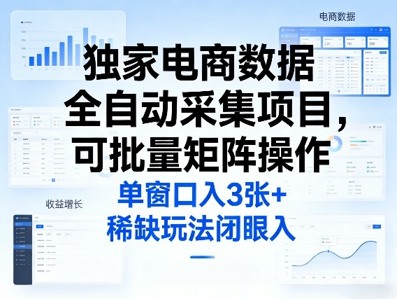 独家电商数据全自动采集项目，可批量矩阵操作，单窗口日入3张+，稀缺玩法闭眼入【揭秘】-网创资源