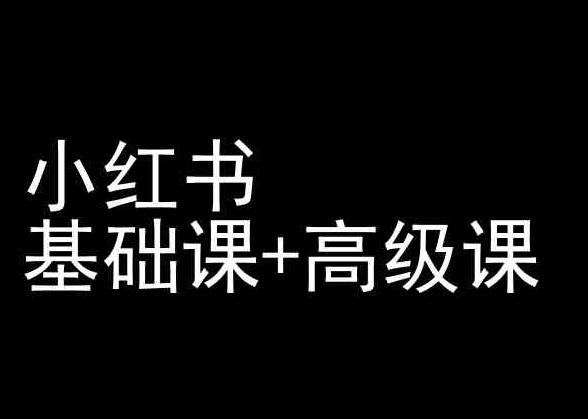 小红书基础课+高级课-小红书运营教程-网创资源