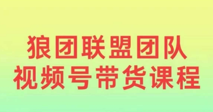 狼团联盟2024视频号带货，0基础小白快速入局视频号-网创资源