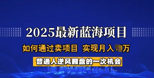 2025蓝海项目，普通人如何通过卖项目，实现月入过W，全过程【揭秘】-网创资源