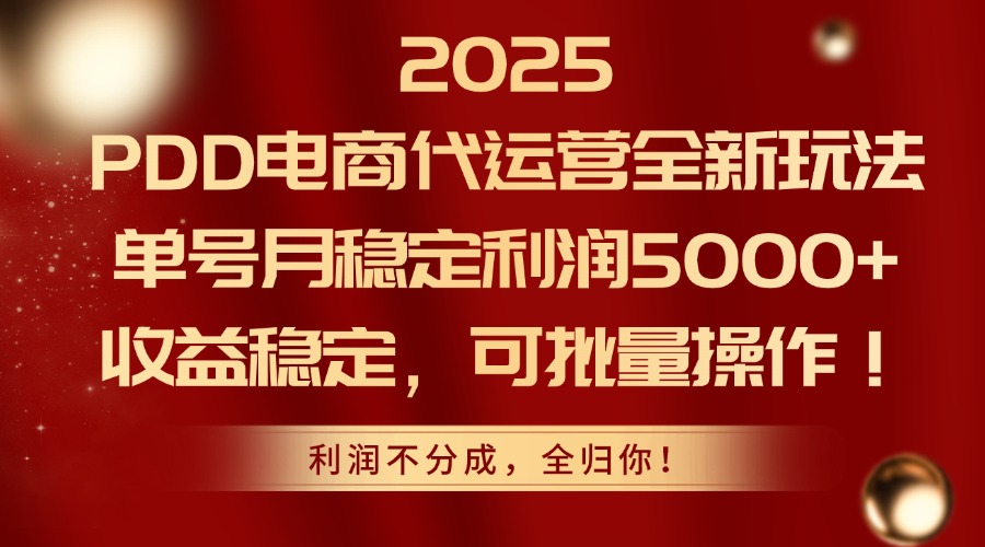 2025PDD电商代运营全新玩法，单号月稳定利润5000+，收益稳定，可批量操作-网创资源