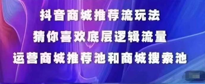 抖音商城运营课程，猜你喜欢入池商城搜索商城推荐人群标签覆盖-网创资源