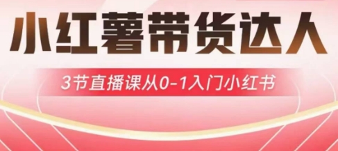小红薯达人带货启航计划，3节直播课从0-1入门小红书-网创资源
