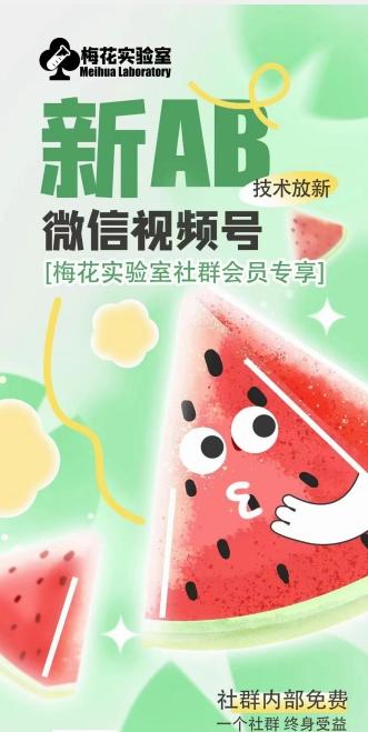 梅花实验室2024年AB技术视频号AB合成破解版-网创资源