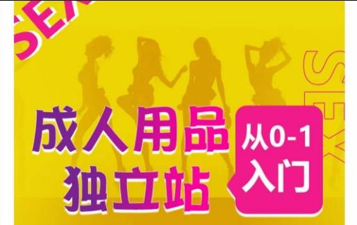 成人用品独立站从0-1入门，成品独立站运营全流程教学，七大好卖成品独立站推荐-网创资源