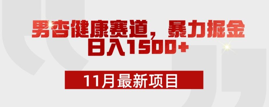11月最新项目，男杏健康赛道，暴力掘金，日入1500+-网创资源