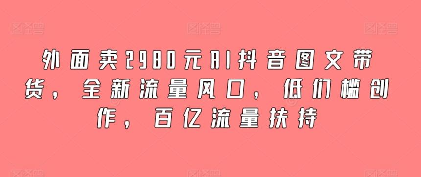 外面卖2980元AI抖音图文带货，全新流量风口，低们槛创作，百亿流量扶持-网创资源