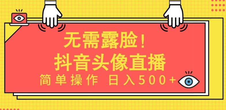 无需露脸，Ai头像直播项目，简单操作日入500+【揭秘】-网创资源