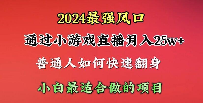 (10020期)2024年最强风口，通过小游戏直播月入25w+单日收益5000+小白最适合做的项目-网创资源