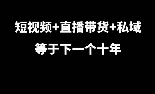 短视频+直播带货+私域等于下一个十年，大佬7年实战经验总结-网创资源