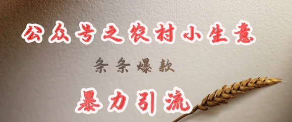 deepseek写农村小项目，条条爆款，暴力引流-网创资源