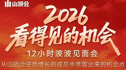波波·2026看得见的机会12小时波波见面会(东莞线下课2月1日)-网创资源