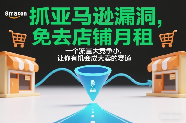 抓亚马逊漏洞，免去店铺月租，一个流量大竞争小，让你有机会成大卖的赛道-网创资源