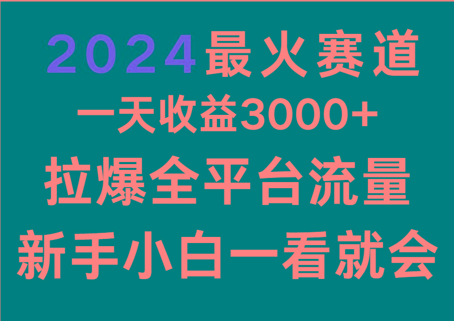 2024最火赛道，一天收一3000+.拉爆全平台流量，新手小白一看就会-网创资源