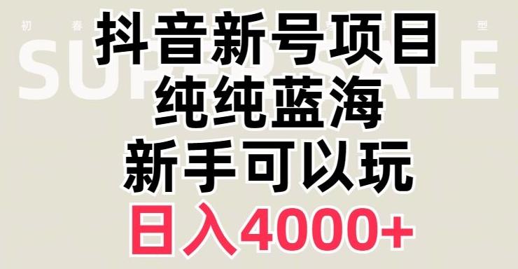 抖音蓝海赛道，必须是新账号，日入4000+【揭秘】-网创资源