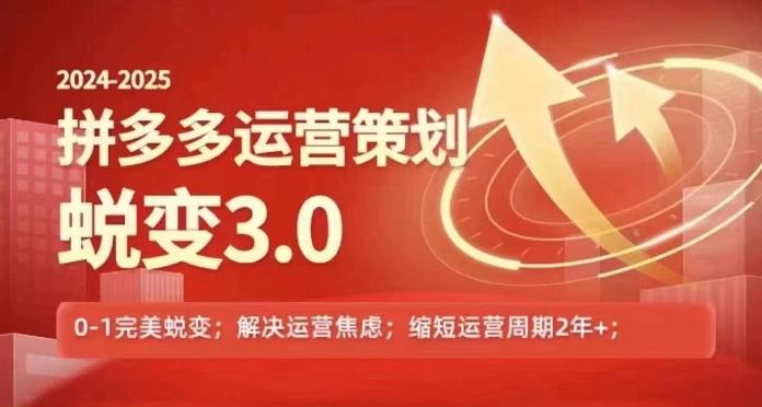 2024-2025拼多多运营策略蜕变3.0，0~1完美蜕变，解决信息焦虑-网创资源