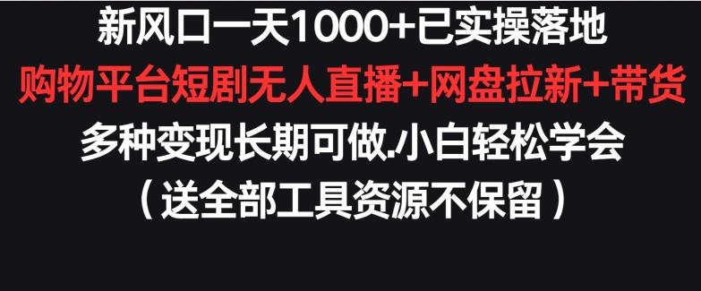 新风口一天1000+已实操落地购物平台短剧无人直播+网盘拉新+带货多种变现长期可做【揭秘】-网创资源