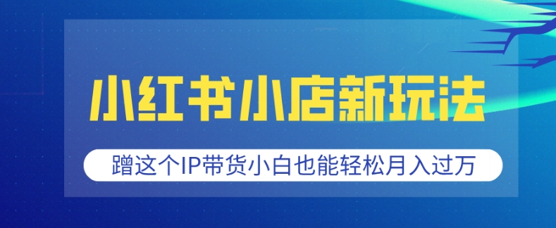 小红书小店新玩法，蹭这个IP带货，小白也能轻松月入过W【揭秘】-网创资源