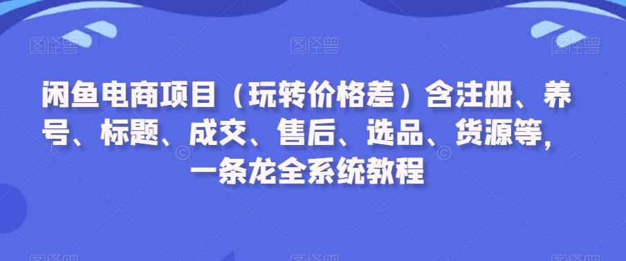 闲鱼电商项目(玩转价格差)含注册、养号、标题、成交、售后、选品、货源等，一条龙全系统教程-网创资源