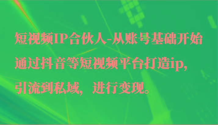 短视频IP合伙人-从账号基础开始通过抖音等短视频平台打造ip，引流到私域，进行变现。-网创资源