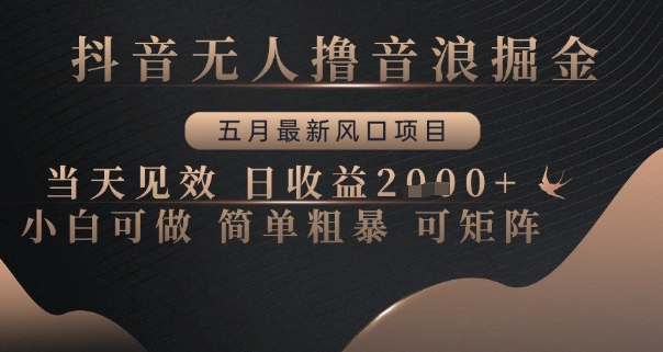 抖音无人撸音浪掘金，五月最新风口项目，当天见效，日收益多张，小白可做简单粗暴可矩阵【揭秘】-网创资源
