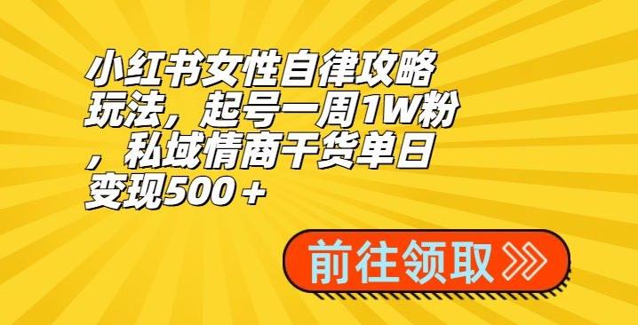 小红书女性自律攻略玩法，起号一周1W粉，私域情商干货单日变现500＋-网创资源